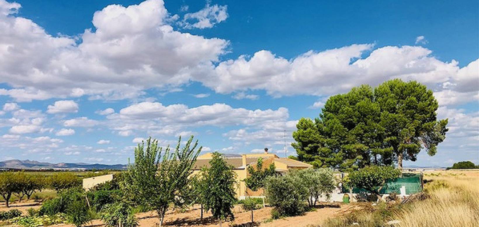 Venta - Casa de campo - Yecla