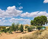 Venta - Casa de campo - Yecla