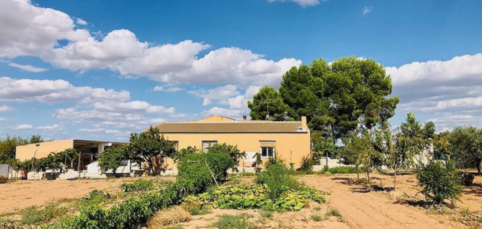 Venta - Casa de campo - Yecla