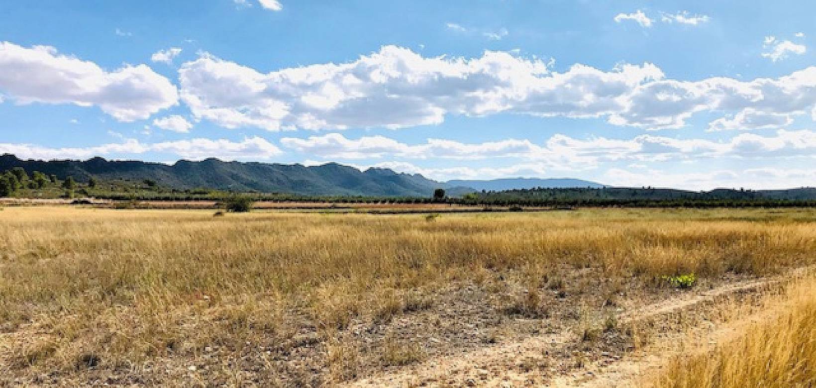 Venta - Casa de campo - Yecla