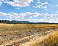 Venta - Casa de campo - Yecla