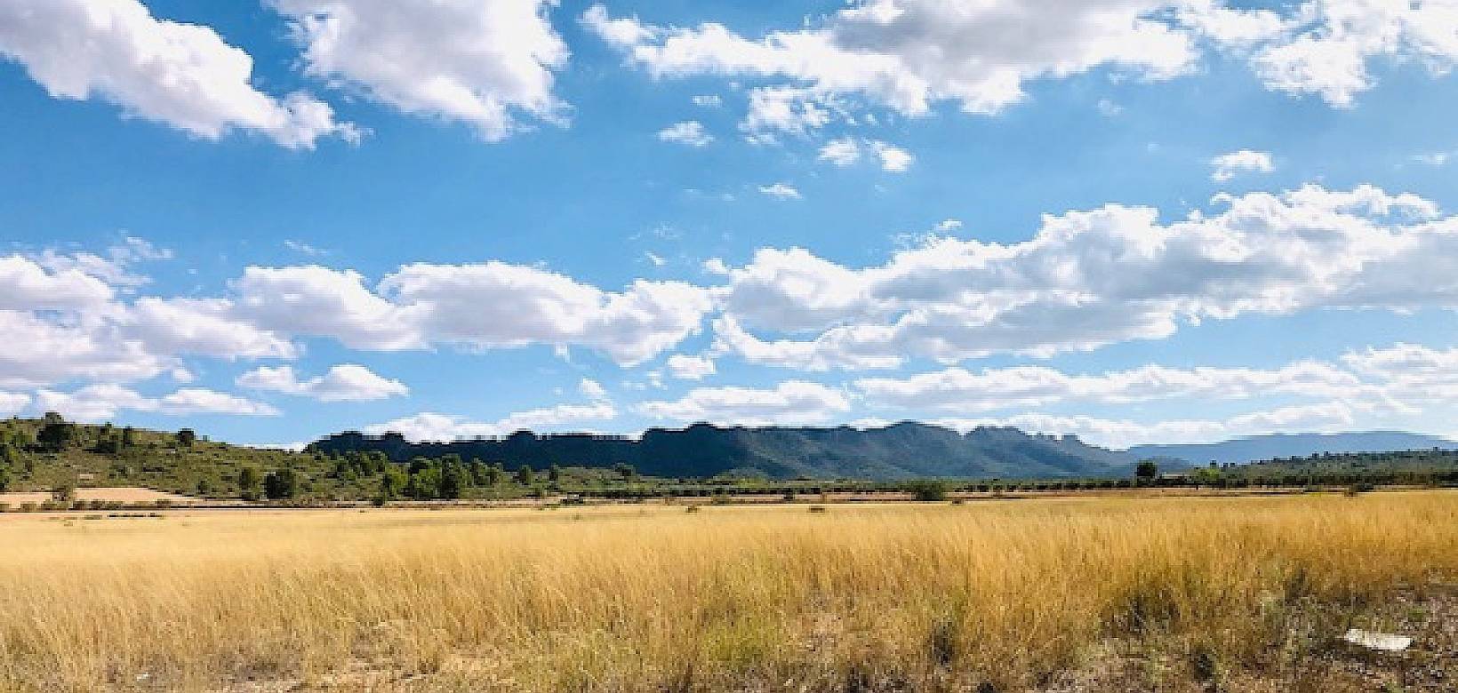 Venta - Casa de campo - Yecla