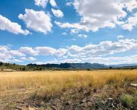 Venta - Casa de campo - Yecla