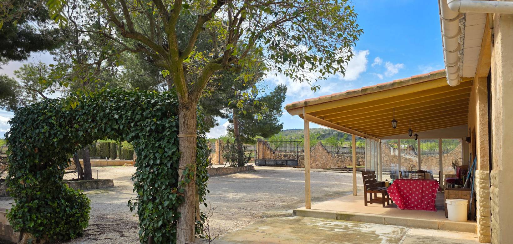 Venta - Casa de campo - Yecla