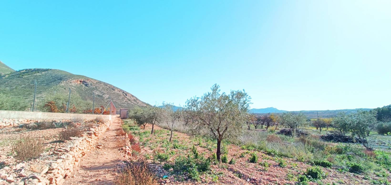 Venta - Casa de pueblo - Hondón de los Frailes