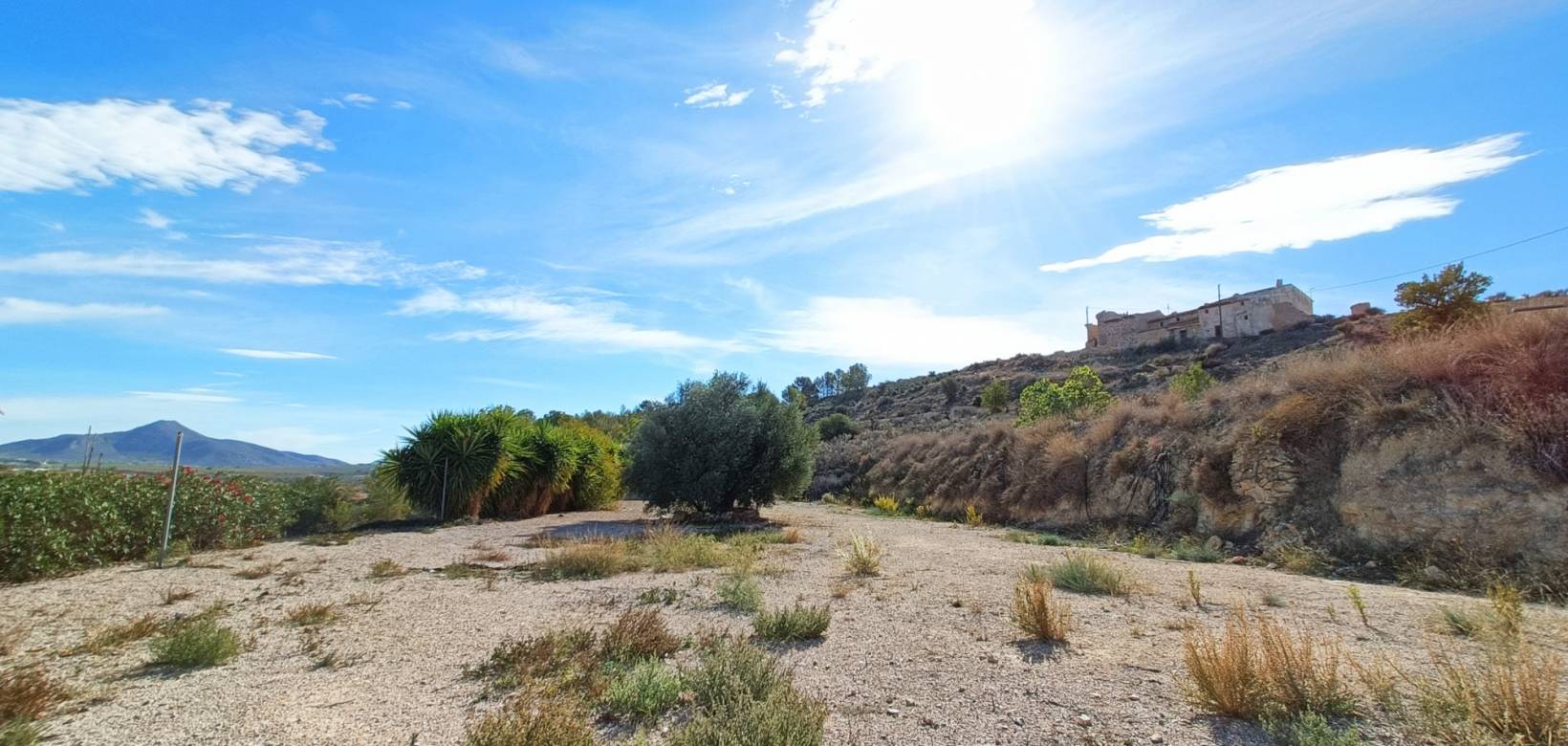 Venta - Casa de pueblo - Macisvenda