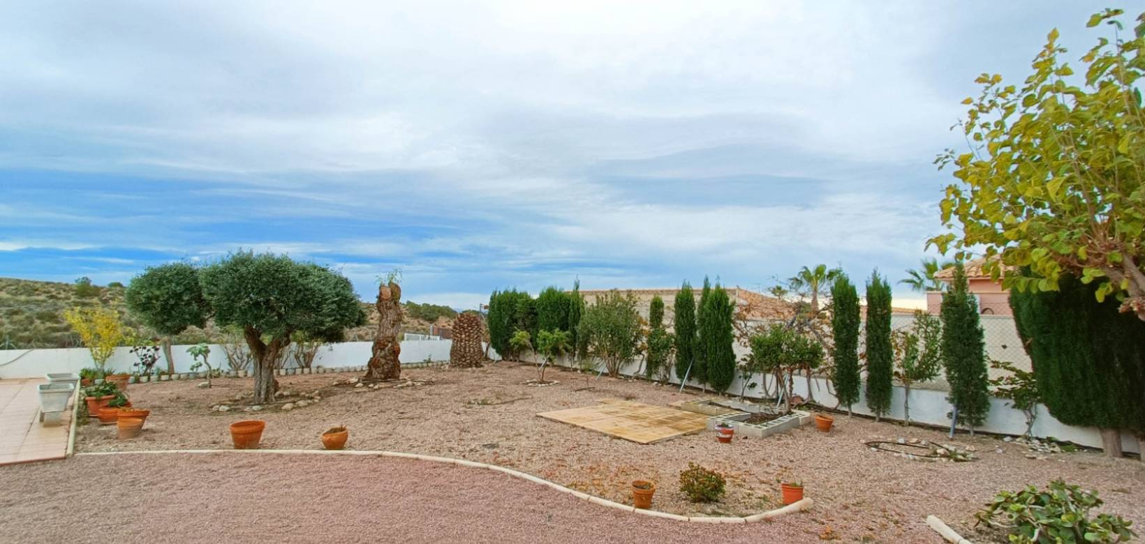 Venta - Chalet - Albatera