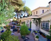 Venta - Chalet - Algorfa - Castillo de montemar