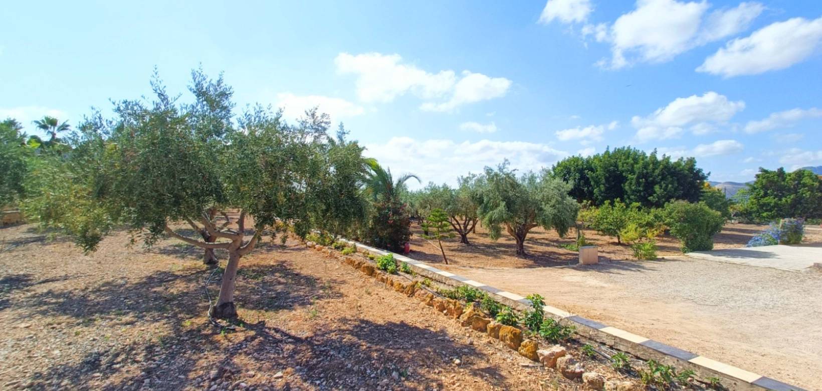 Venta - Chalet - Aspe