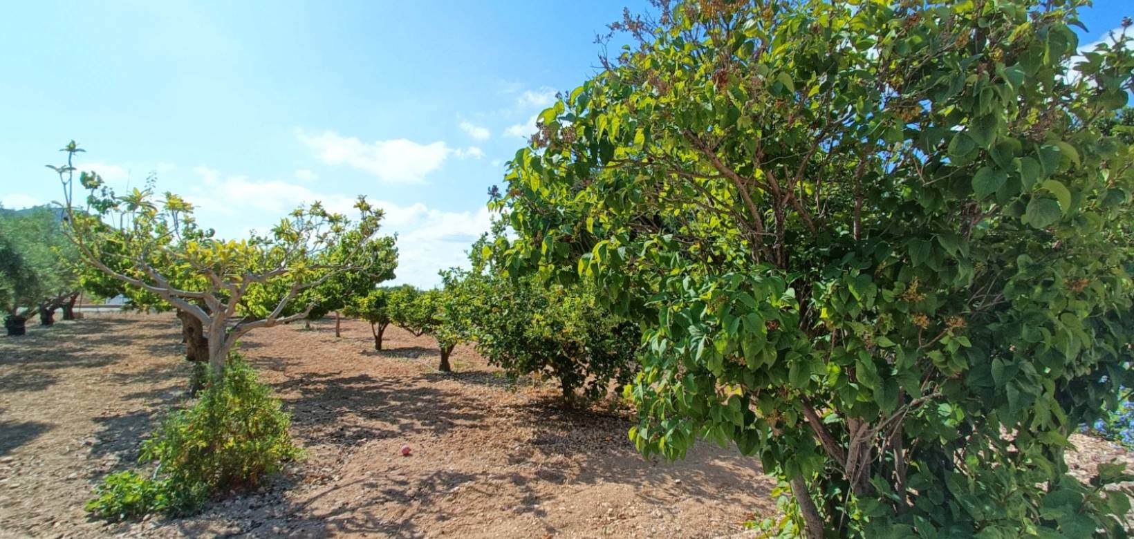 Venta - Chalet - Aspe