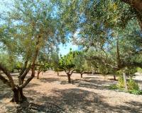 Venta - Chalet - Aspe