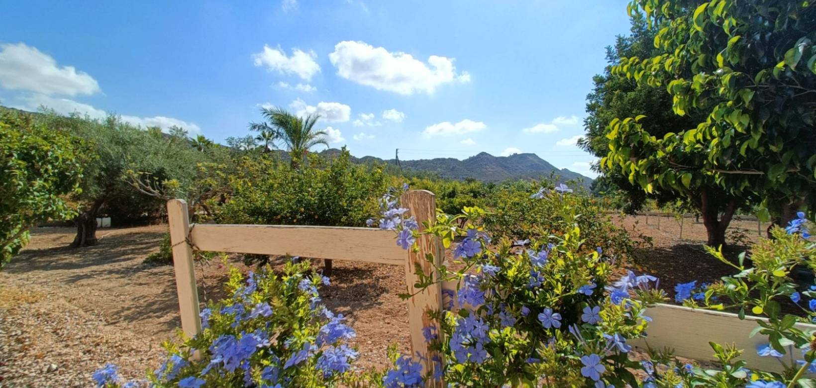 Venta - Chalet - Aspe