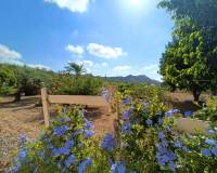 Venta - Chalet - Aspe