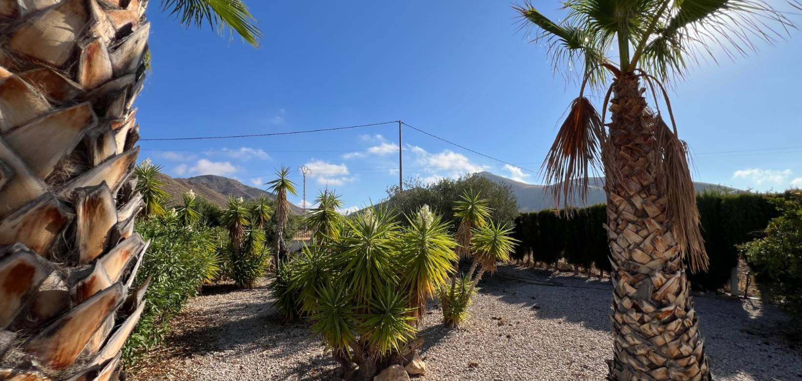 Venta - Chalet - Barbarroja