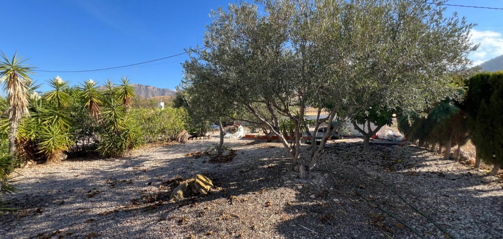 Venta - Chalet - Barbarroja