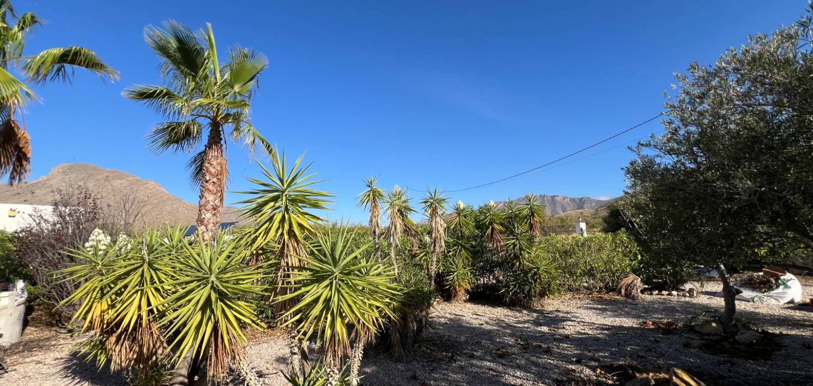 Venta - Chalet - Barbarroja