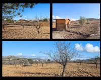 Venta - Chalet - Cañada del Trigo - Canada Del Trigo