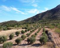 Venta - Chalet - El Cantón - El Canton