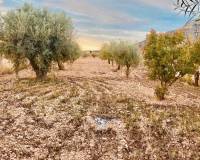 Venta - Chalet - El Cantón