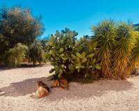 Venta - Chalet - El Cantón