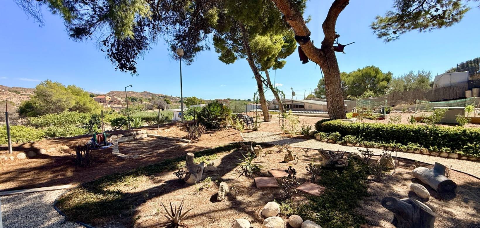 Venta - Chalet - Elche - Center