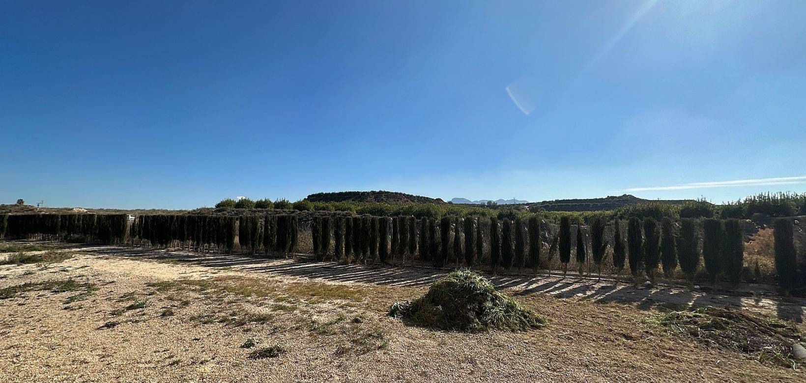 Venta - Chalet - Fortuna