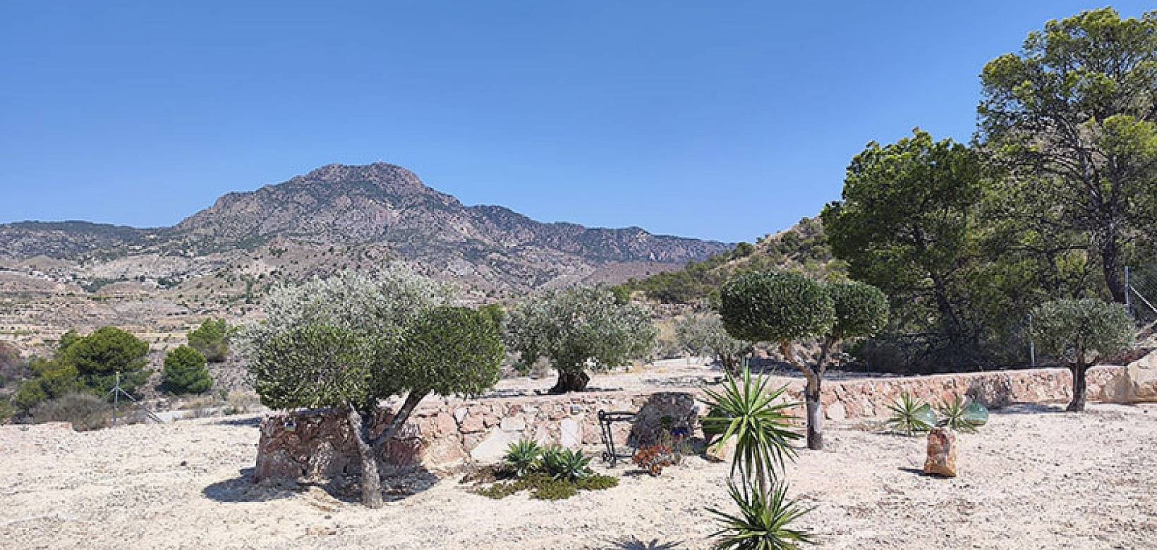 Venta - Chalet - Fortuna