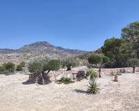 Venta - Chalet - Fortuna