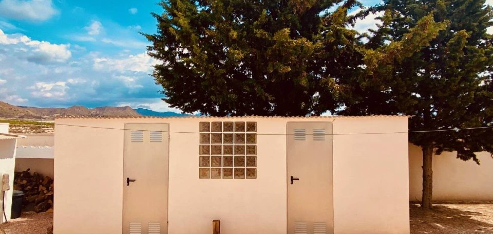 Venta - Chalet - Fortuna