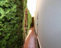 Venta - Chalet - Guardamar del Segura - El Raso