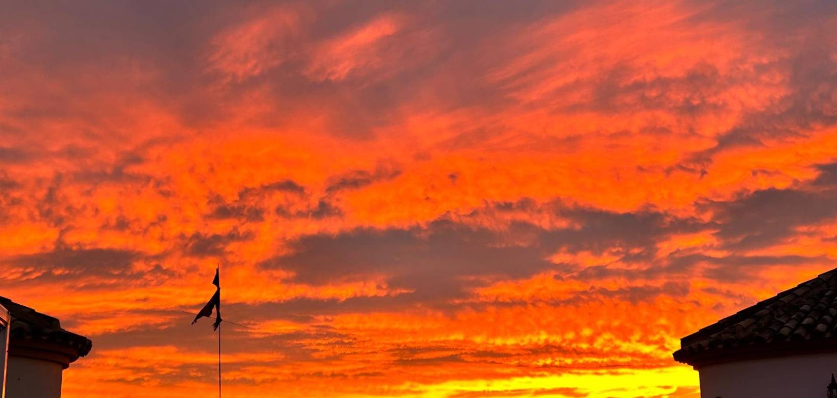 Venta - Chalet - Guardamar del Segura - El Raso