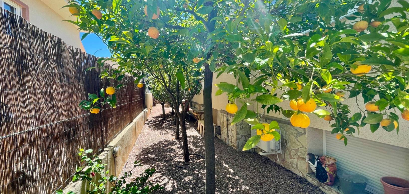 Venta - Chalet - Hondón de las Nieves