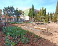 Venta - Chalet - Hondón de los Frailes