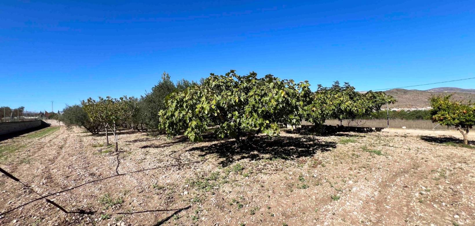 Venta - Chalet - Hondón de los Frailes