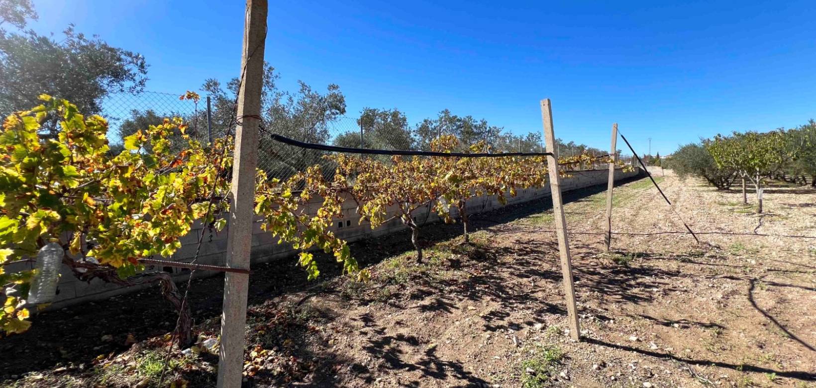 Venta - Chalet - Hondón de los Frailes