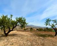 Venta - Chalet - Hondón de los Frailes