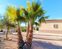 Venta - Chalet - Hondón de los Frailes