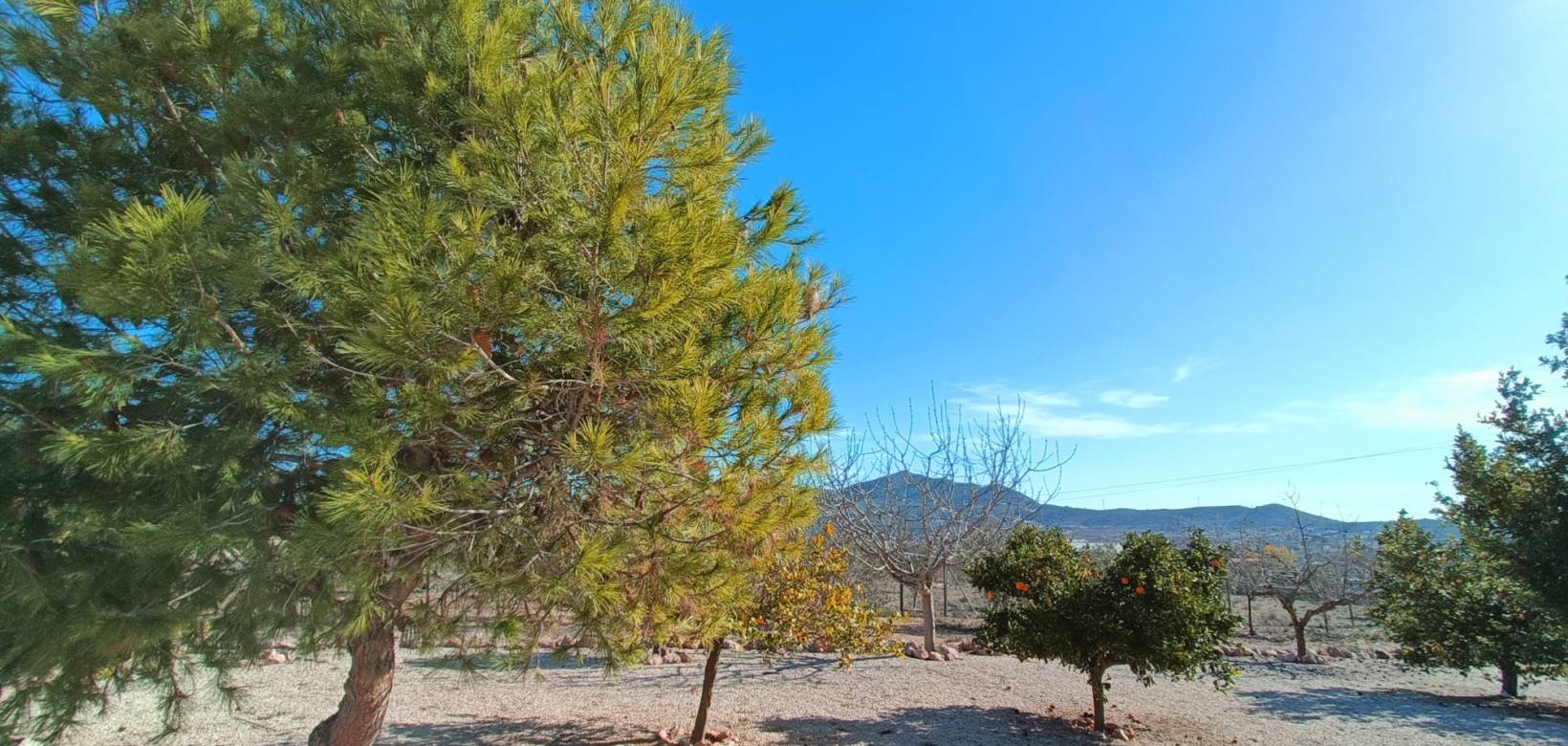 Venta - Chalet - Hondón de los Frailes