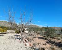 Venta - Chalet - Hondón de los Frailes