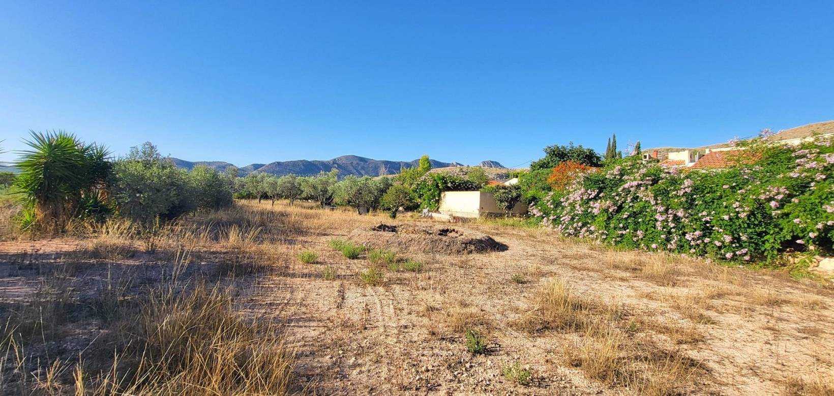 Venta - Chalet - La Romana