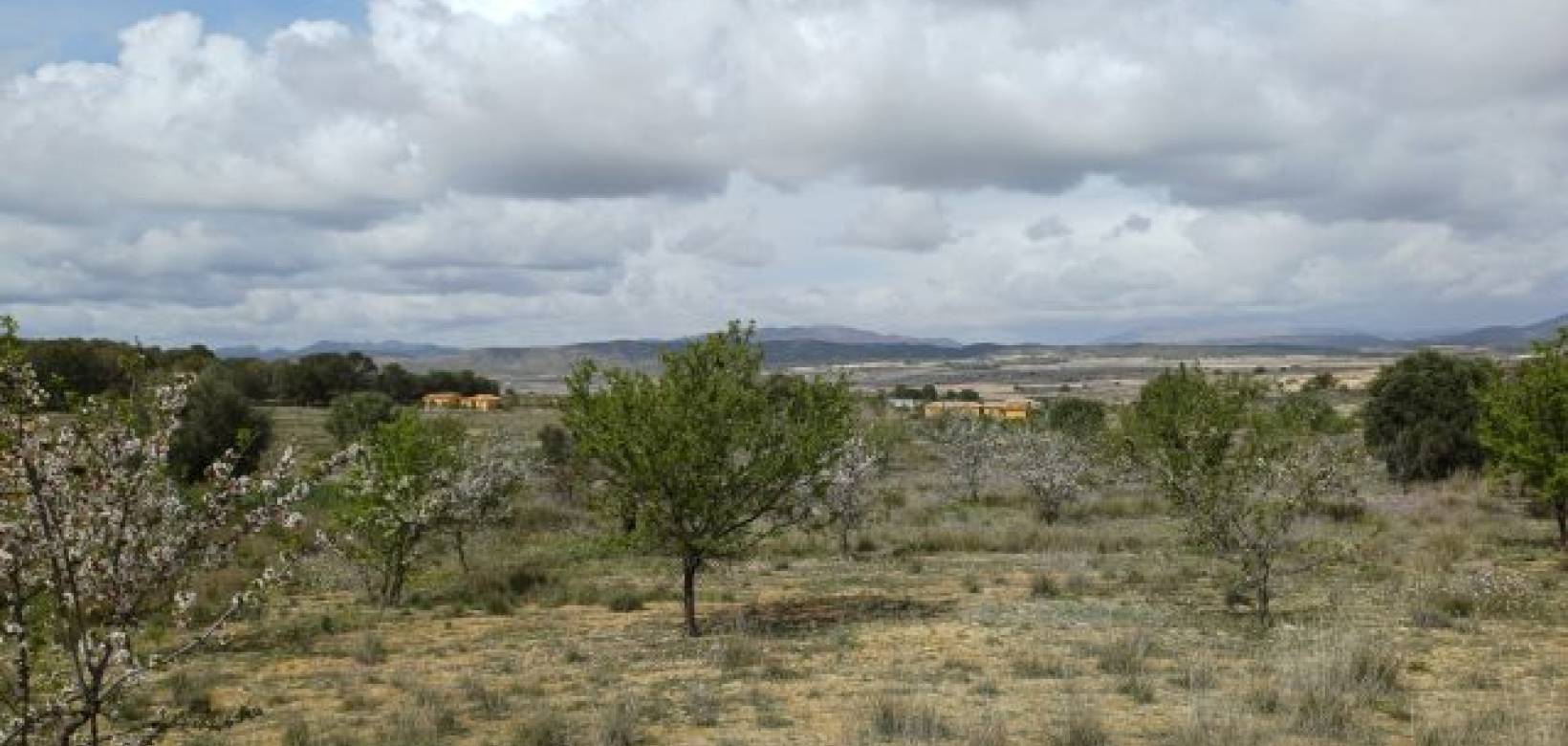 Venta - Chalet - La Zarza