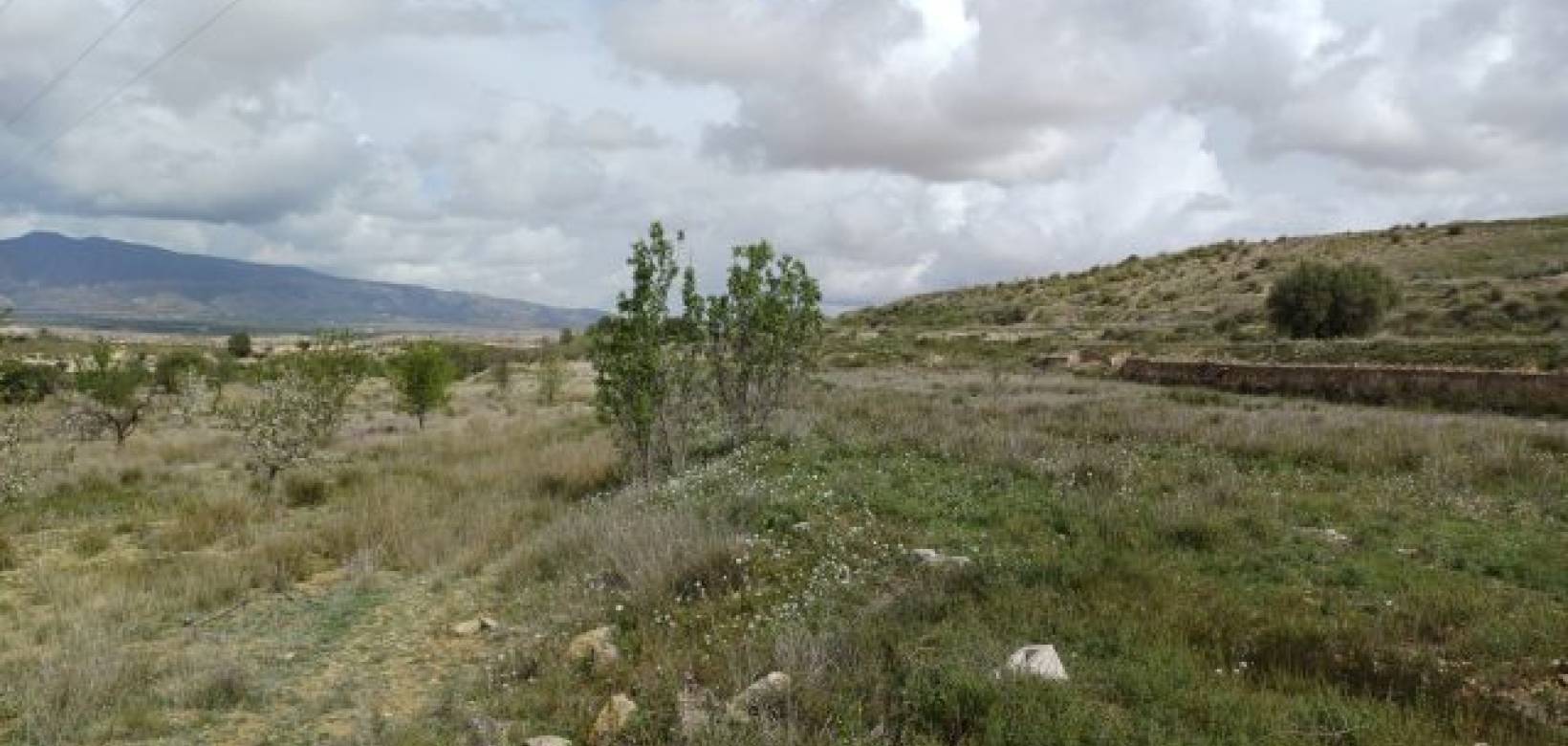 Venta - Chalet - La Zarza