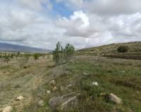 Venta - Chalet - La Zarza