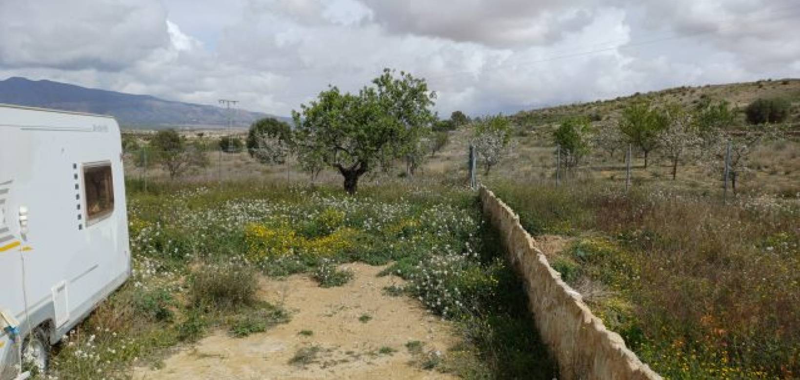 Venta - Chalet - La Zarza