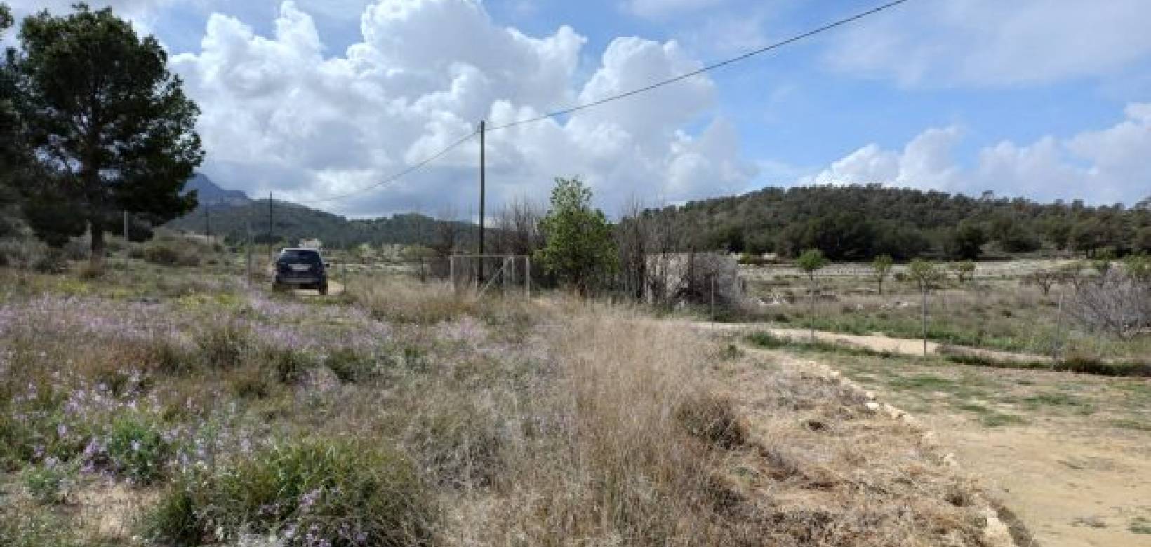 Venta - Chalet - La Zarza