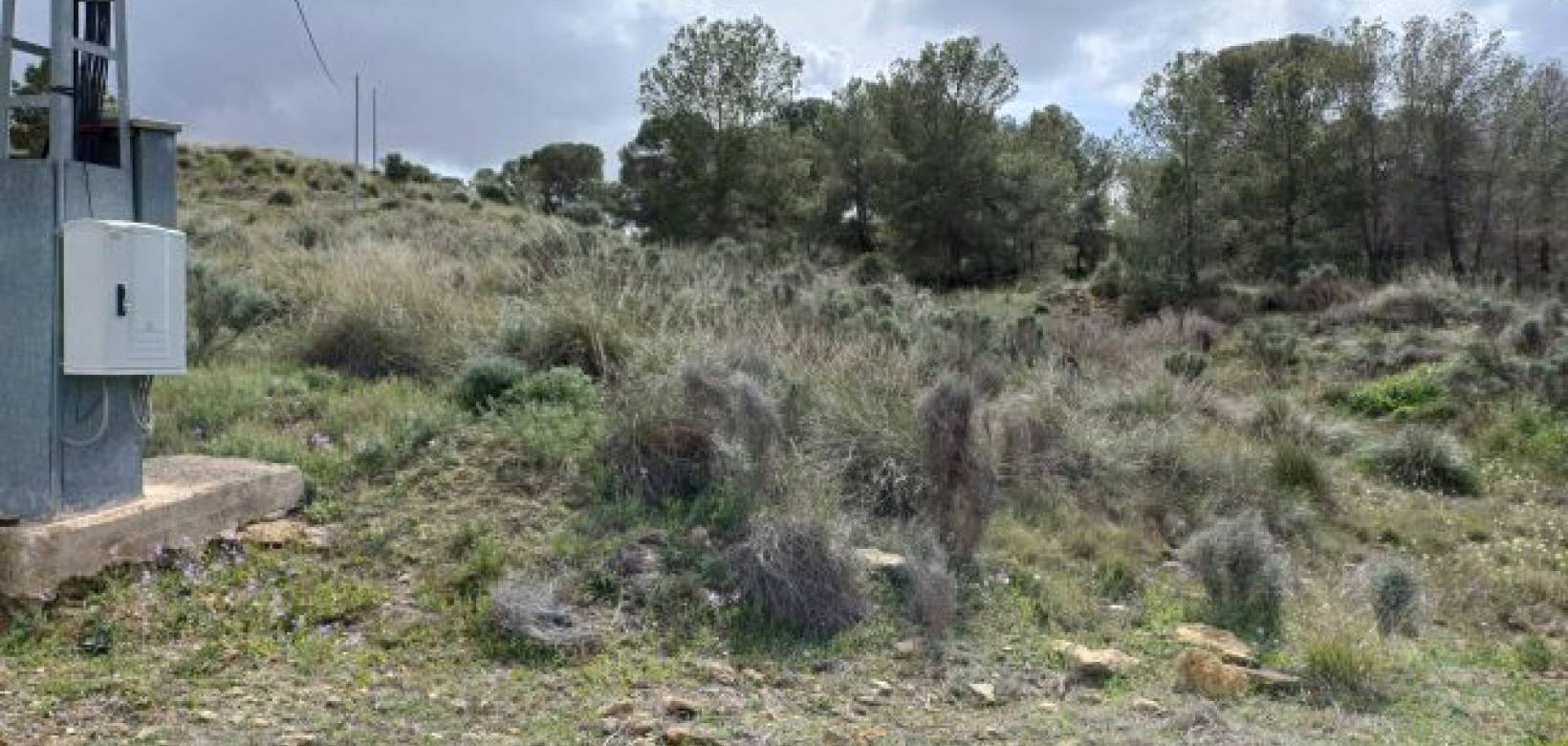 Venta - Chalet - La Zarza