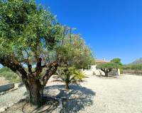 Venta - Chalet - Macisvenda