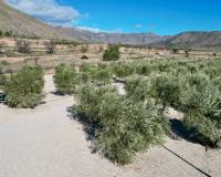 Venta - Chalet - Macisvenda