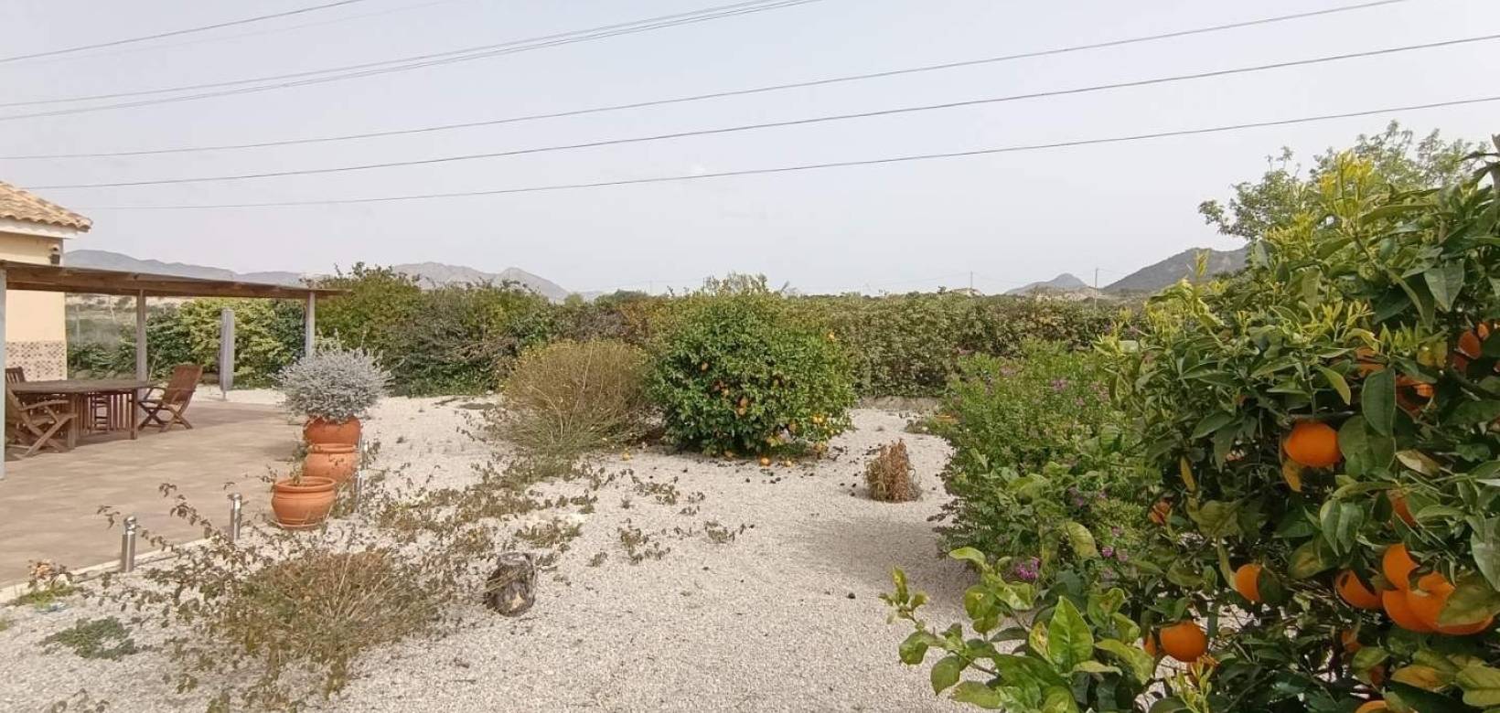 Venta - Chalet - Macisvenda