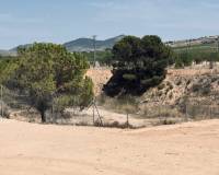 Venta - Chalet - Macisvenda